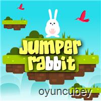 Jumper Rabbit