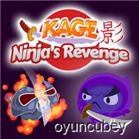 La Venganza De Kage Ninjas