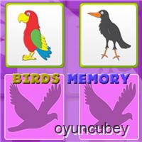 Çocuklar Hafıza Kartları İle Kuşlar