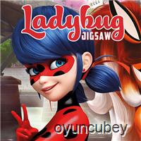 Ladybug Puzzle