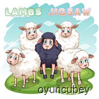 Lambs Yapboz