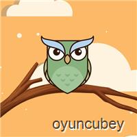 Sihirli Owl Boyama