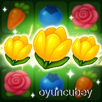 Match Dream Garden