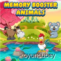 Hafıza Kartları Booster Hayvanlar