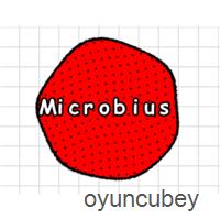 Mikrobüs