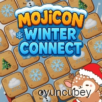 Mojicon Kış Bağlantısı