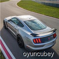 Mustang Shelby Bulmaca