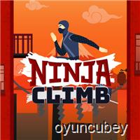 Ninja Tırmanışı