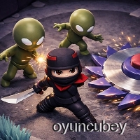 Ninja Hayatta Kalma