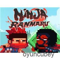 Ninja Ranmaru