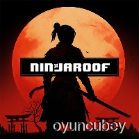 Ninjaroof