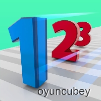 Sayı Acelesi