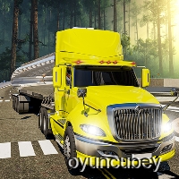 Petrol Tankeri Taşıma Kamyonu