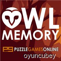 Owl Hafıza Kartları