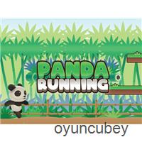 Koşan Panda
