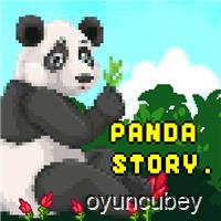 Panda Historia