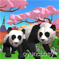 Panda Simülatörü