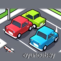 Parkplatzfahrer