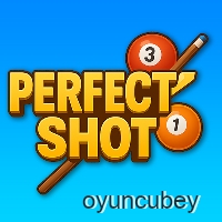 Perfect Shot