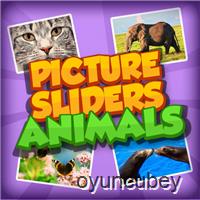 Resim Slider Hayvanlar