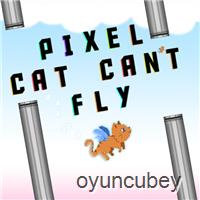 Pixel-Katze Kann Nicht Fliegen