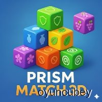 Prizma Eşleştirme 3D