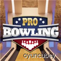 Profesyonel Bowling 3 Boyutlu