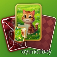 Puzzle Solitaire Picture Match