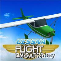 Real Free Plane Flight Simulator 3D 2020