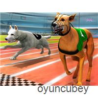 Gerçek Köpek Yarışı Simülatörü 3D