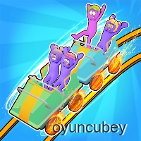 Roller Coaster Acelesi