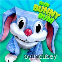 Run Bunny Run !