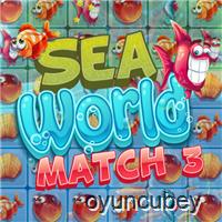 Meer Welt Match 3