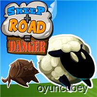 Sheep Road Danger