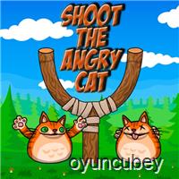 Shot the Angry Cat