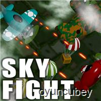 Sky Fight