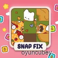 Snap Fix