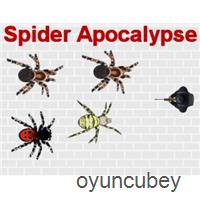 Spinnen-Apokalypse