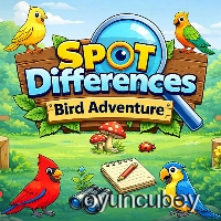 Kuş Macerası Farkları Bul