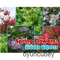 Frühlingsblumen: Versteckte Objekte