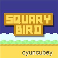 Pájaro De Squary
