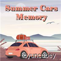 Yaz Arabalar Hafıza Kartları