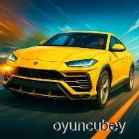 SUV-Verkehrsrennfahrer