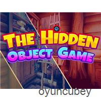 The Hidden Objects Game