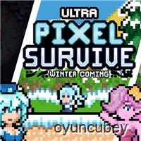 Ultra Pixel Überleben Winter Kommen