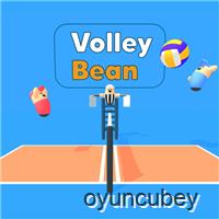Voleybol Fasulyesi