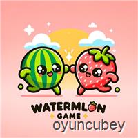 Wassermelonen-Suika