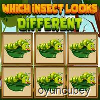 Hangi Böcek Farklı Görünüyor