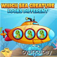 Which Sea Creature Looks Different