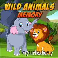 Vahşi Hayvanlar Hafıza Kartları